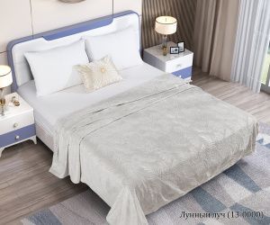 Плед ВЕЛСОФТ диз. (13-0000) Лунный луч Перо (Л)