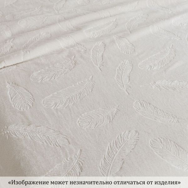 Плед ВЕЛСОФТ диз. Y-06 (13-0000) Лунный луч Перо (Л)