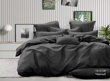 КПБ Микрофибра-страйп "Pandora" диз. № 1х1 (19-5708) Черный (N)